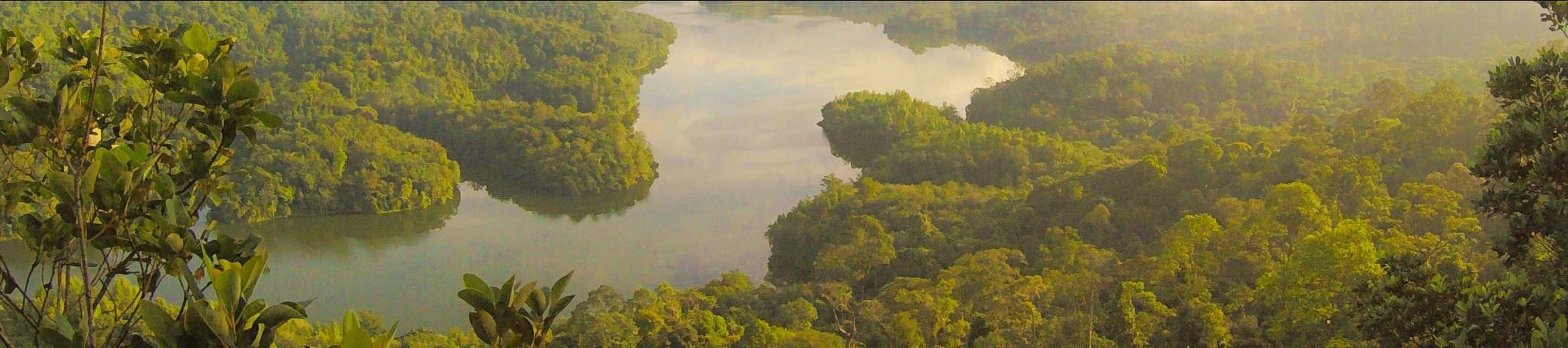 Noah Eyrise cover image