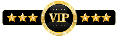 Amy Ansel cover image