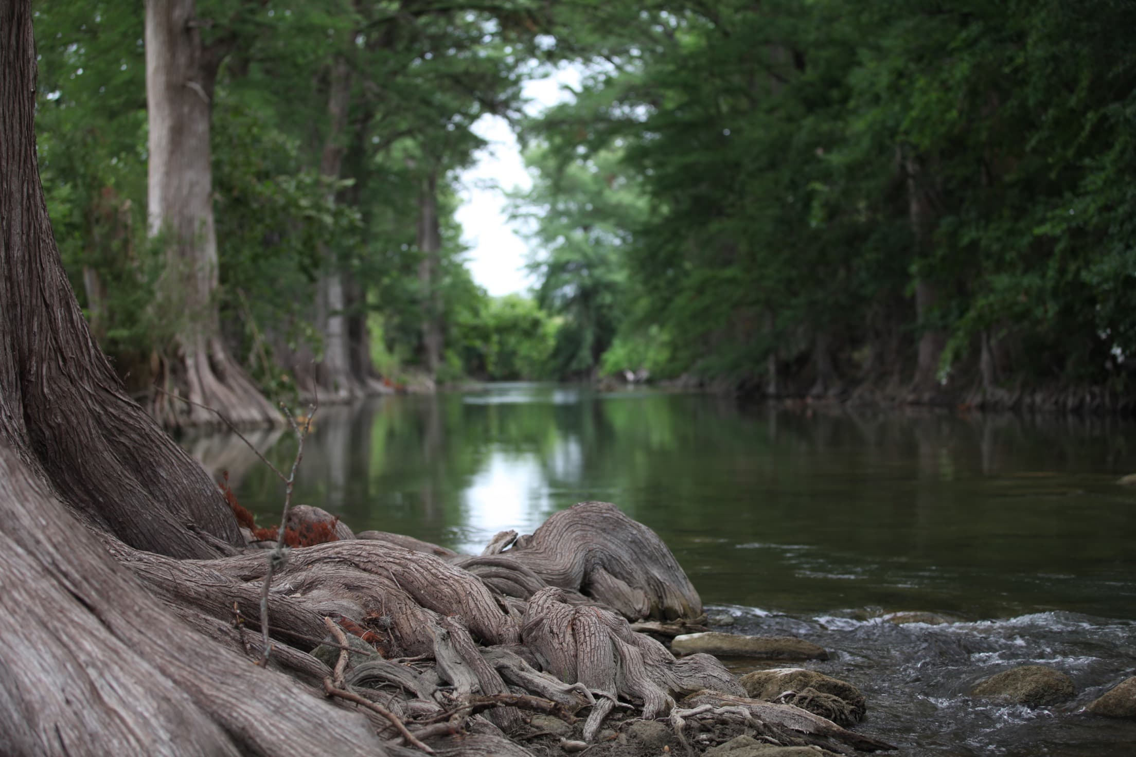 Donny Dust cover image