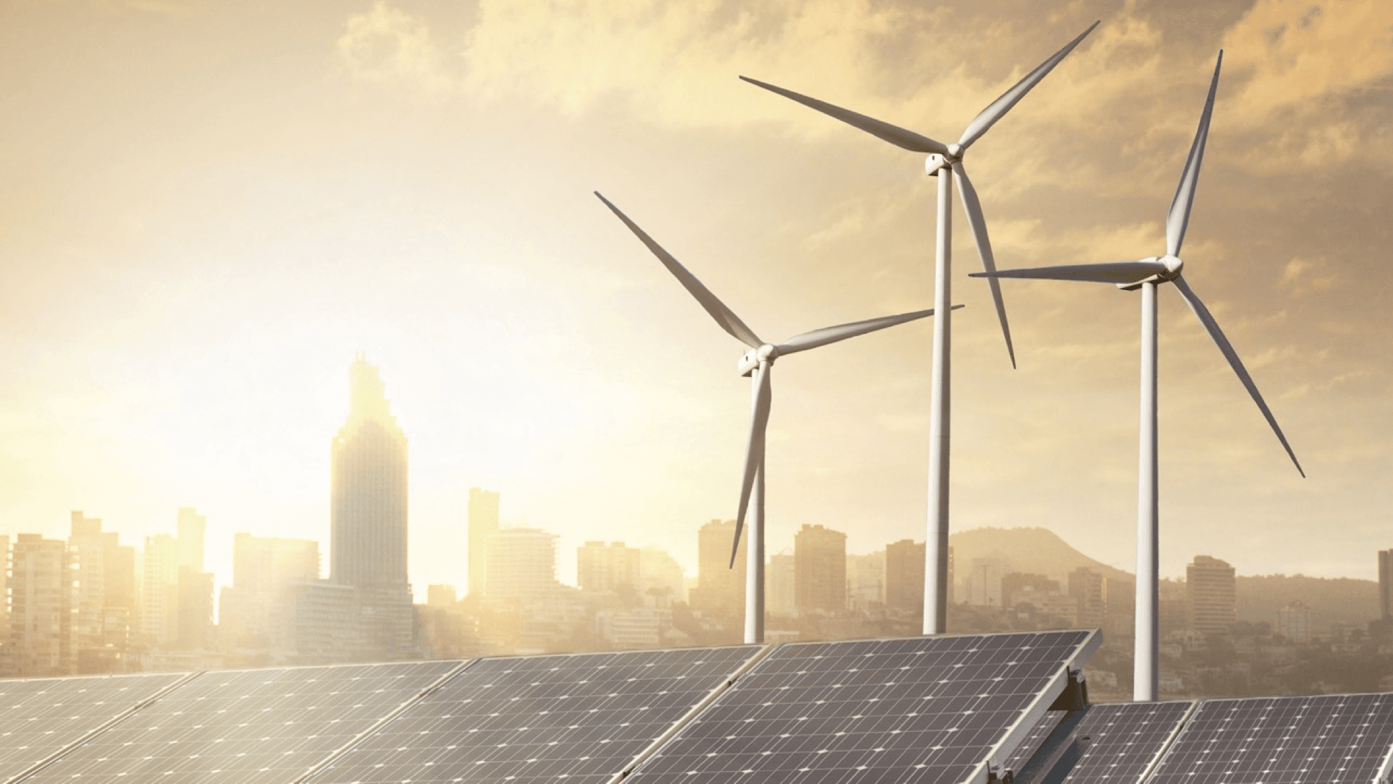 Filinto Martins cover image