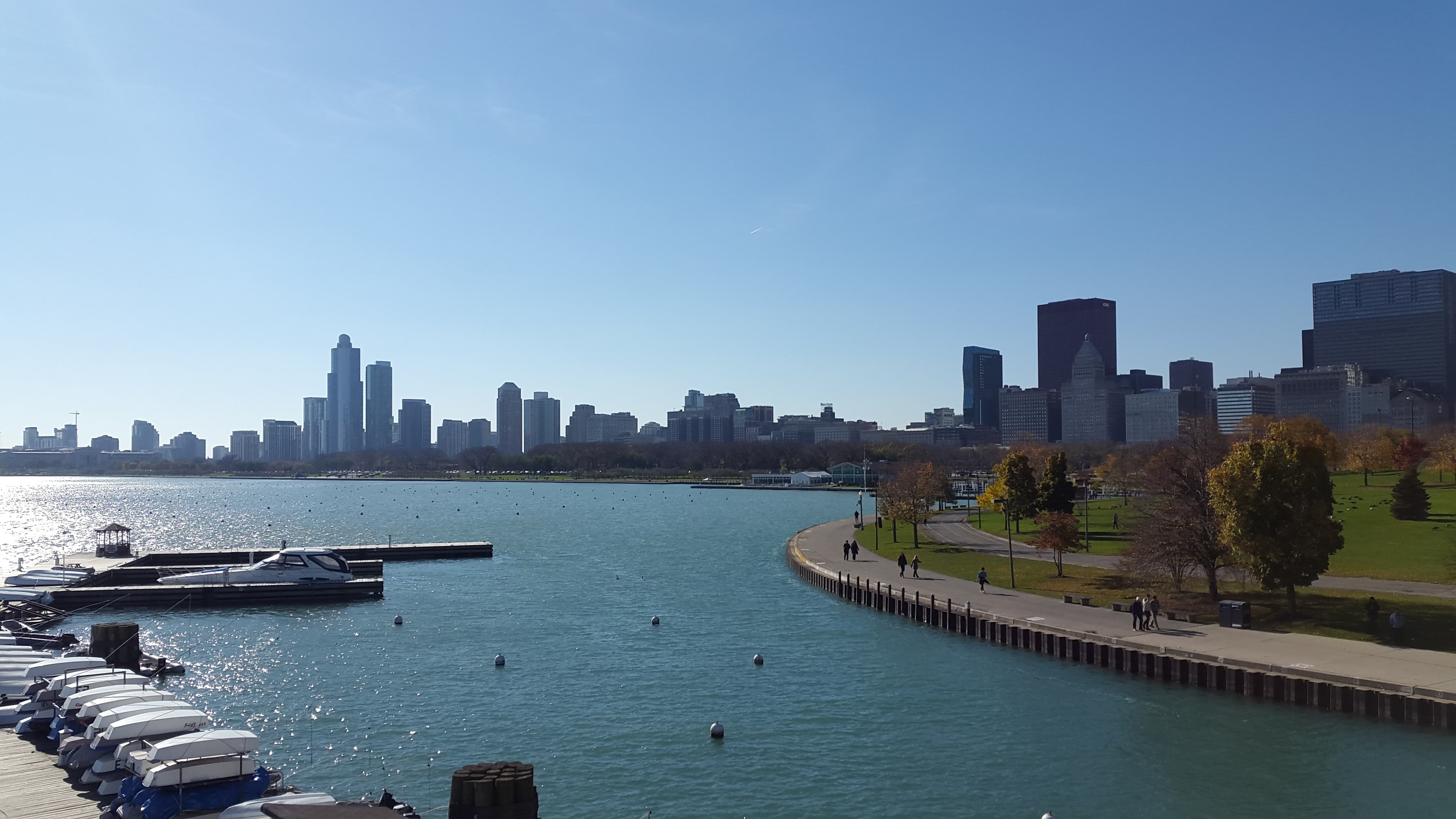 Iva Matasic cover image