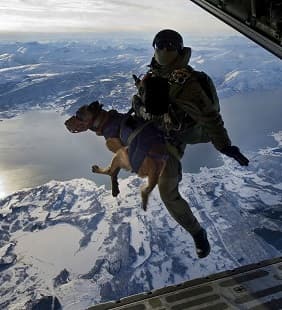 Jeffrey Still cover image