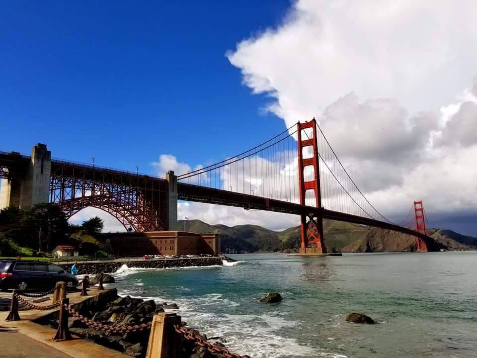 Krista Mollion cover image