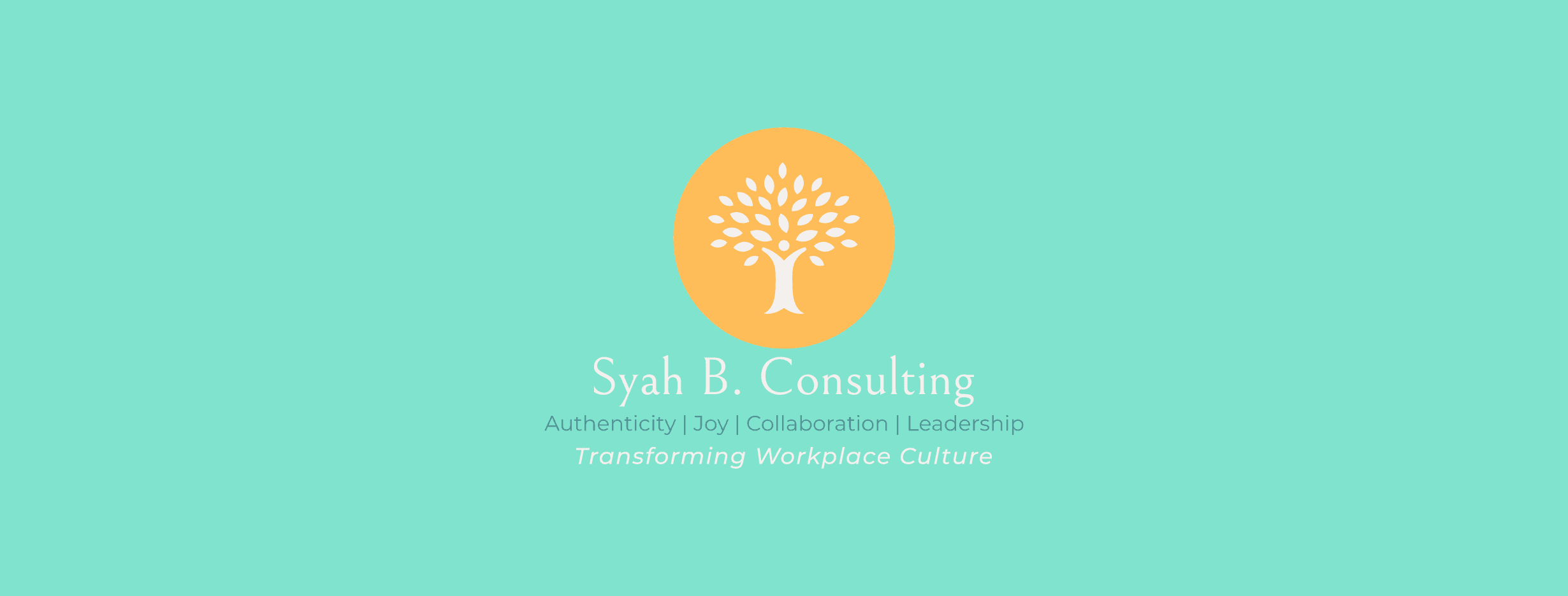 Syah B. cover image