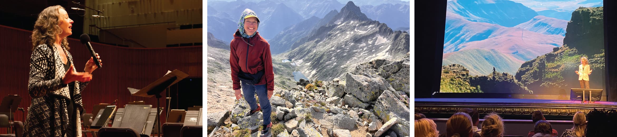 Alison Young cover image