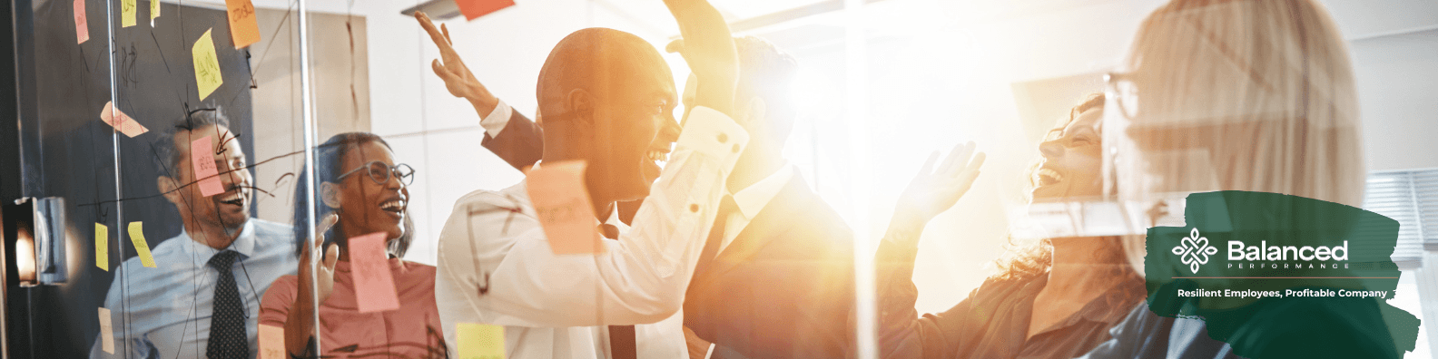 Dr. Susan Lovelle cover image