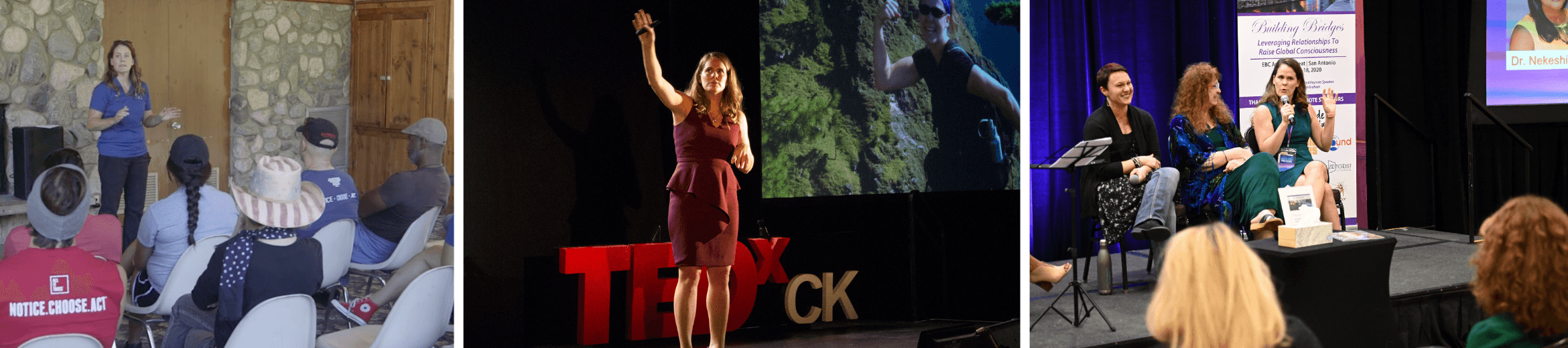 Lisa Dadd cover image