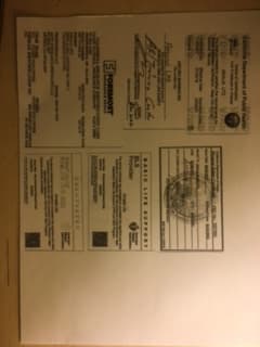 Mali Utz cover image