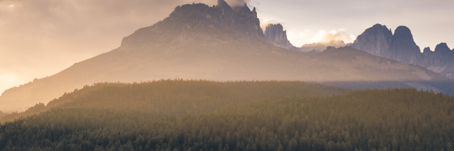 Robin Lovell cover image